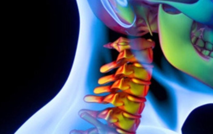 TMJ and the Cervical Spine