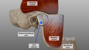 TMJ and the Cervical Spine