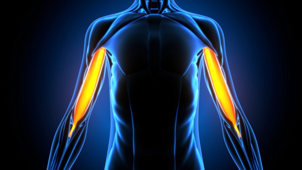 Long Head Biceps (LHB) Pain